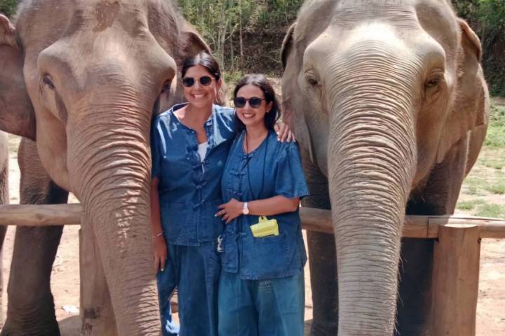 Two people standing between two elephants, smiling in an outdoor setting.