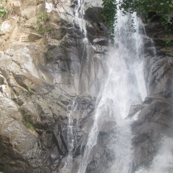 Person standing near a rocky waterfall in a forested area.