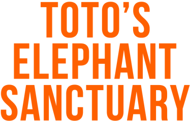 Toto’s Elephant Sanctuary