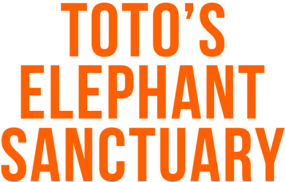 Orange text reads 'Toto's Elephant Sanctuary'.