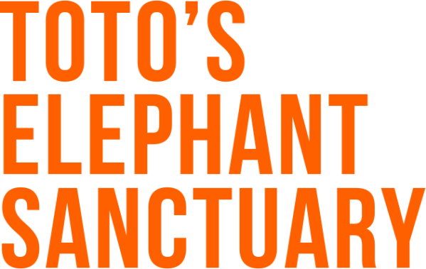 Bold orange text: TOTO'S ELEPHANT SANCTUARY.
